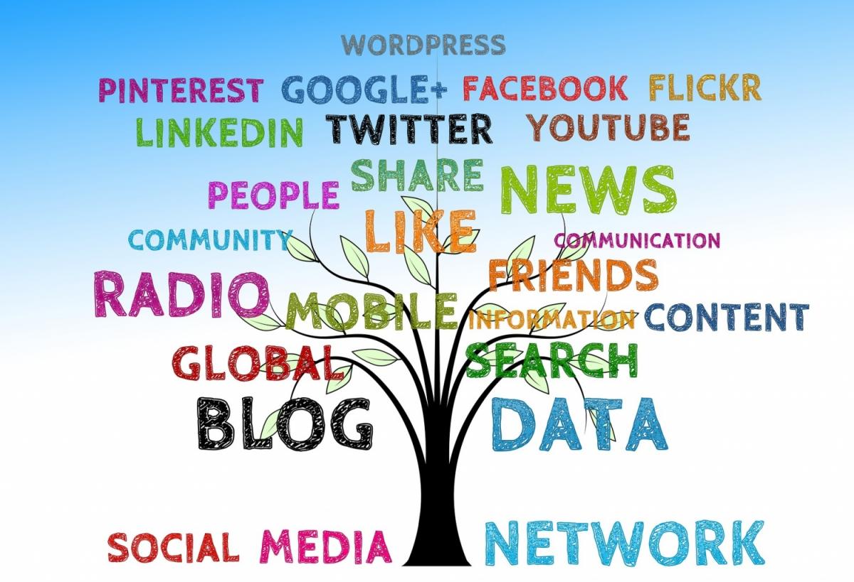 Miért hisszük el az álhíreket?