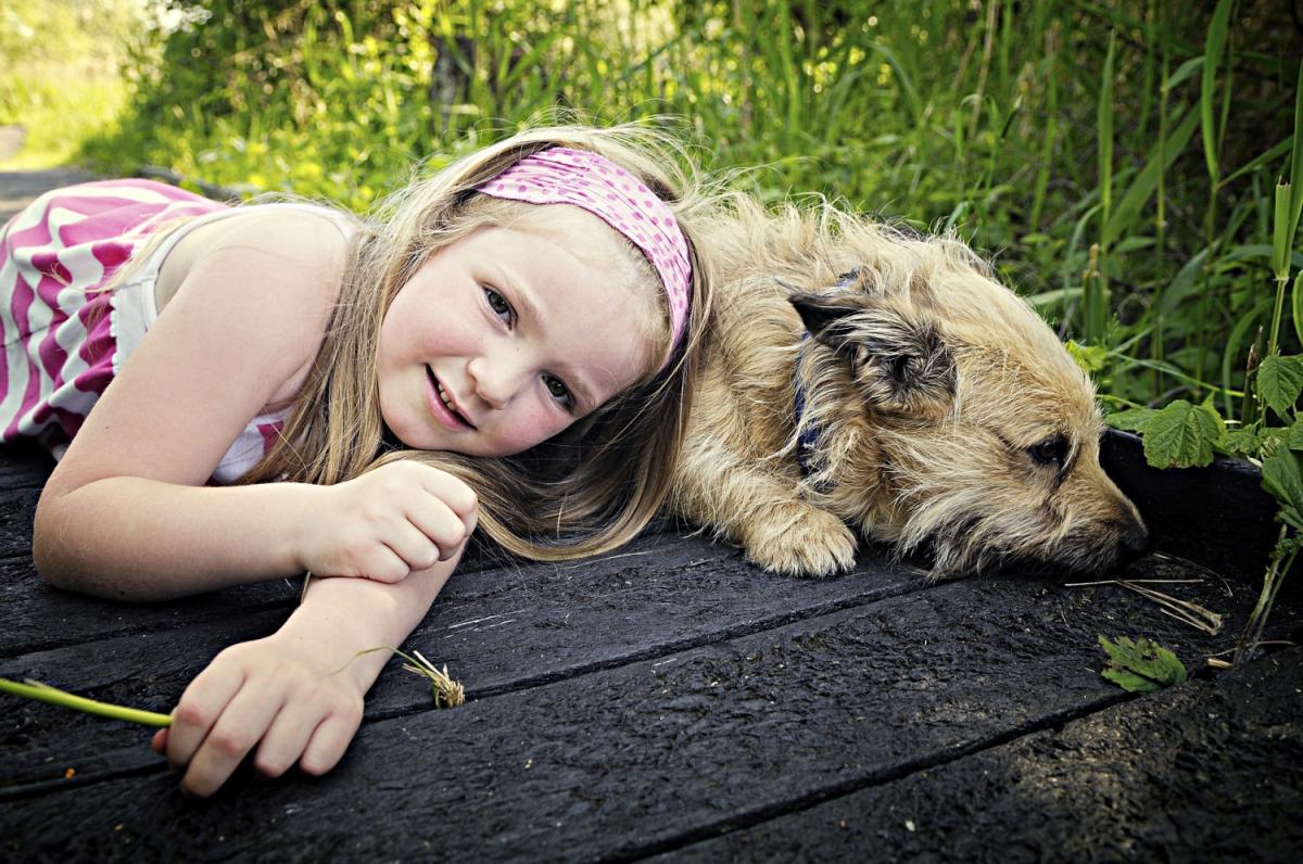 Hogyan dolgozzák fel a gyerekek háziállataik elvesztését?