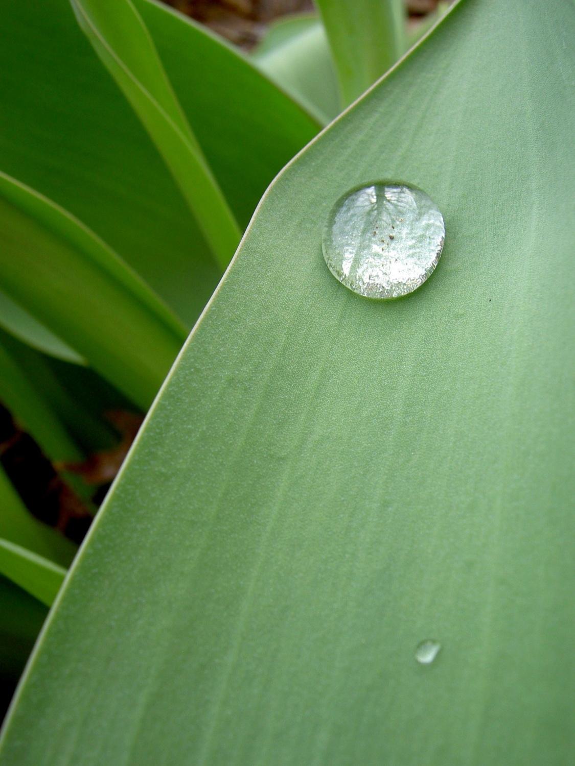 Gátolják a rákmegelőzést a mítoszok és a félreértések