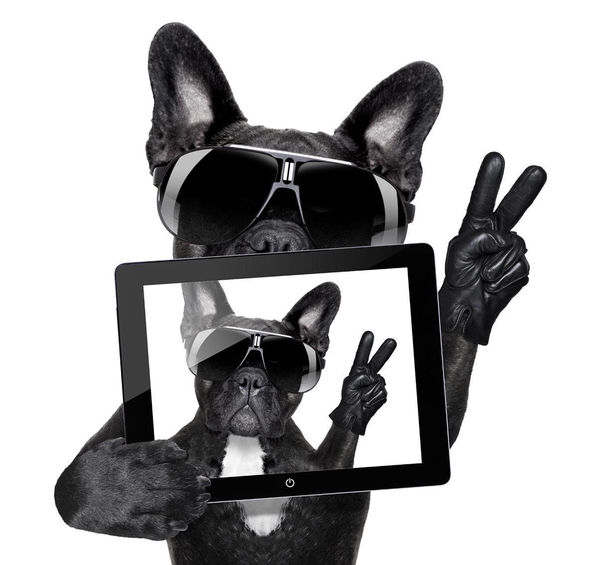 A selfie pszichológiai kérdései