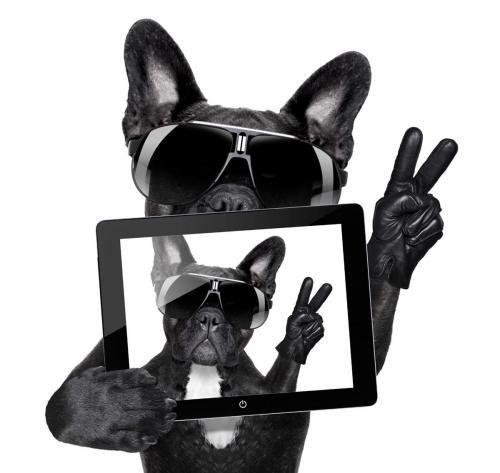 A selfie pszichológiai kérdései